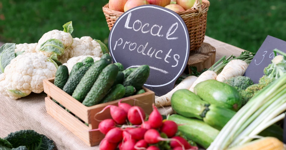 Discover Oceanside, USA: Best Beaches, Food Spots, Events & Family Fun