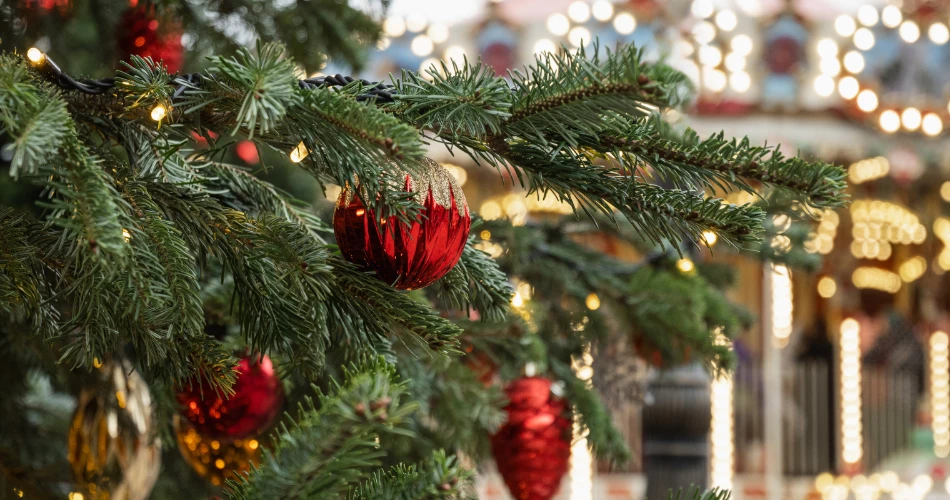 Oceanside, California Festivals Guide: Top Seasonal Events & Best Time to Visit