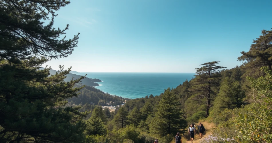 Oceanside Adventure Guide: Top Surfing, Kayaking, Hiking & Coastal Activities